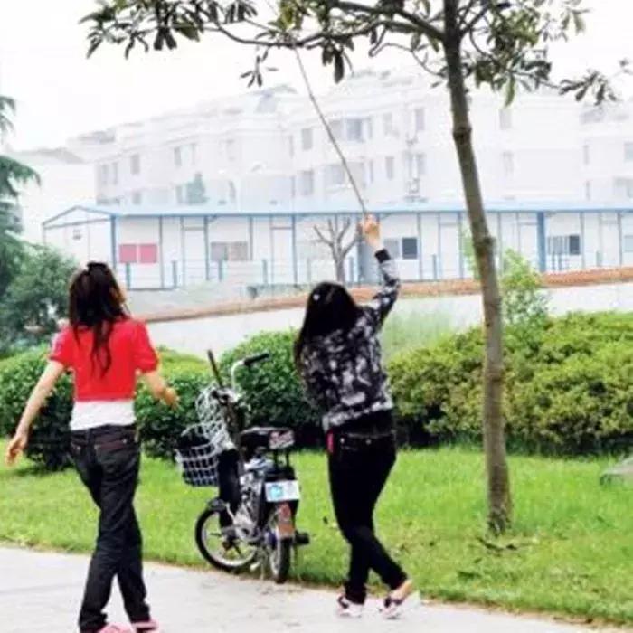 路边流浪狗得了细小怎么救它,路边遇到狗怎么防咬