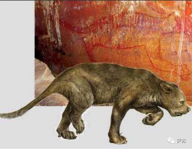 猛犸象灭绝是人类导致的吗,猛犸象灭绝原因的推测有几点