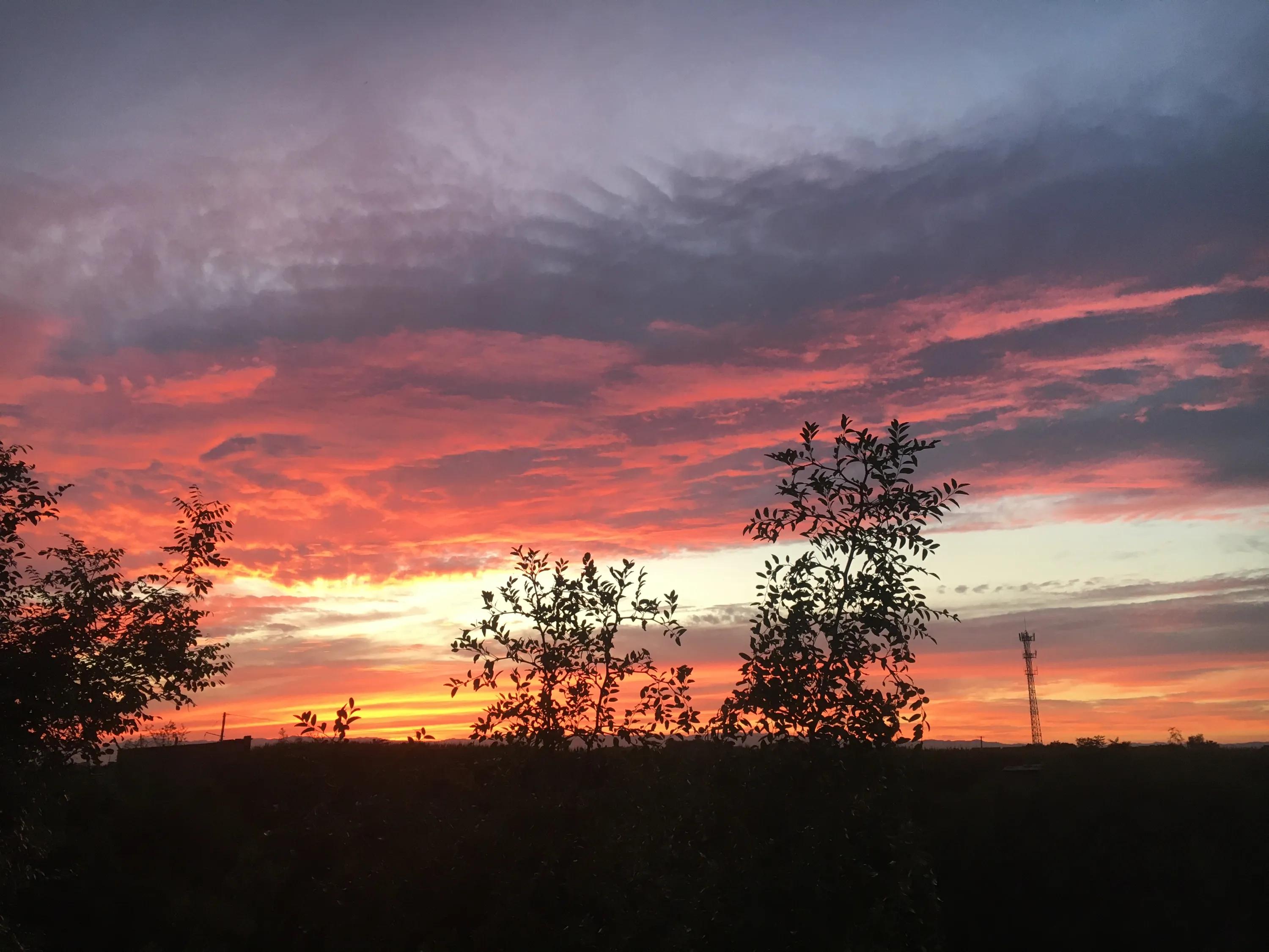 可爱的小猪儿歌,可爱的小猪佩奇一家