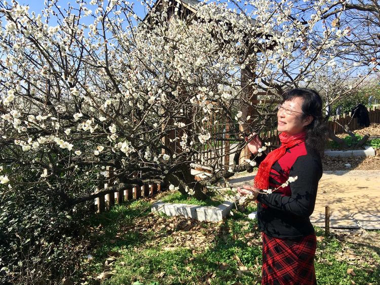 傅家边野营,走进金溪傅家村