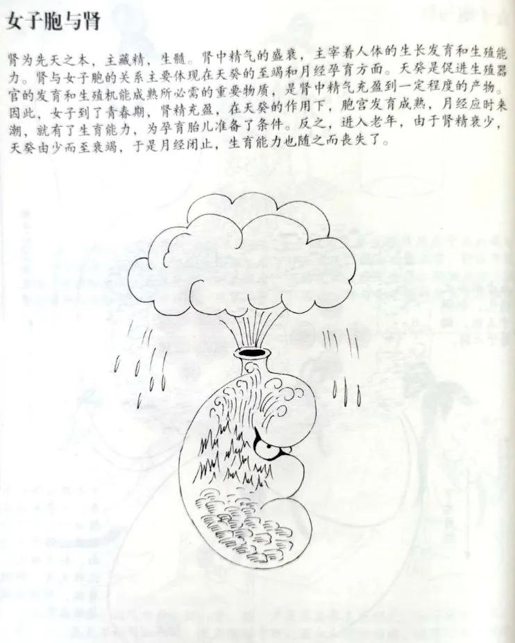 奇恒之腑的解释,奇恒之腑是指哪