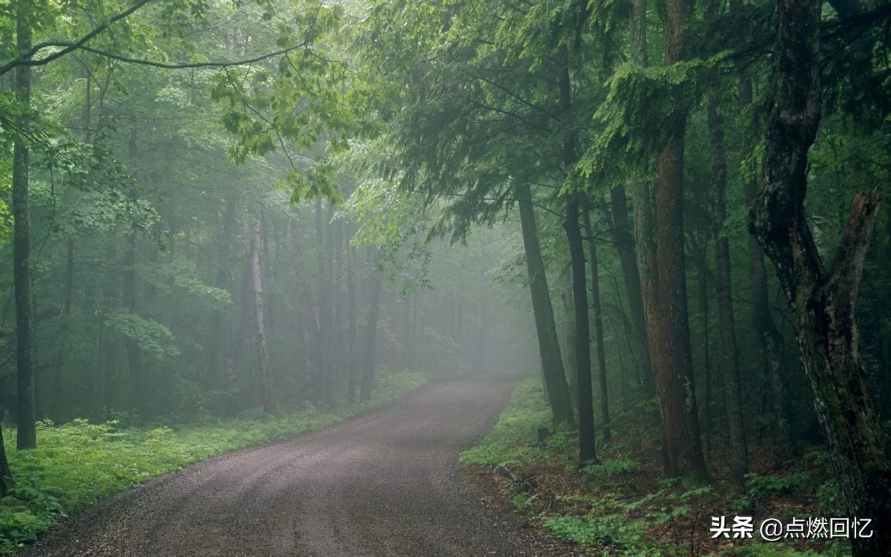博文约礼惟精惟一,博文约礼与惟精惟一