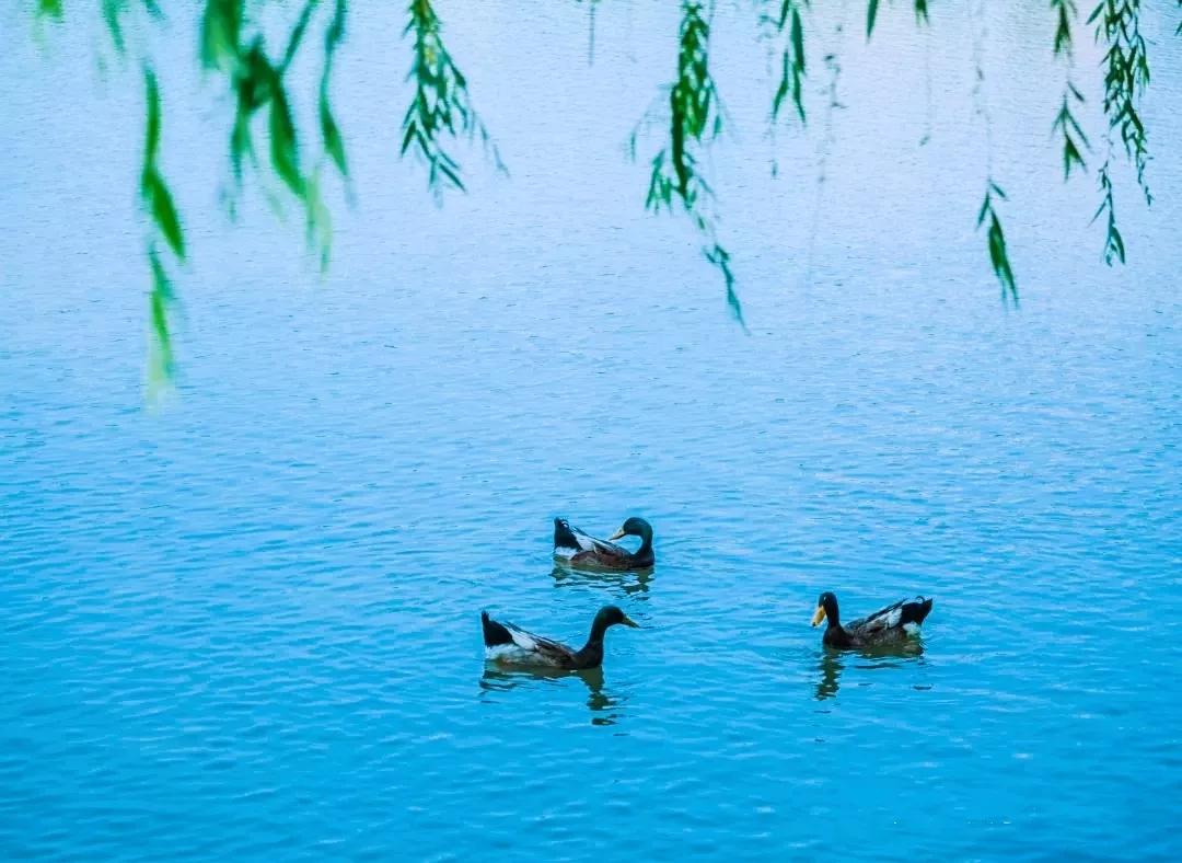 天津商业大学综合排名,天津商业大学真实排名