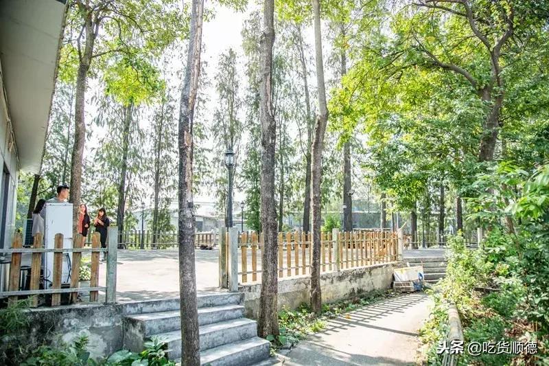 顺德人均100的农庄,顺德最顶级农庄