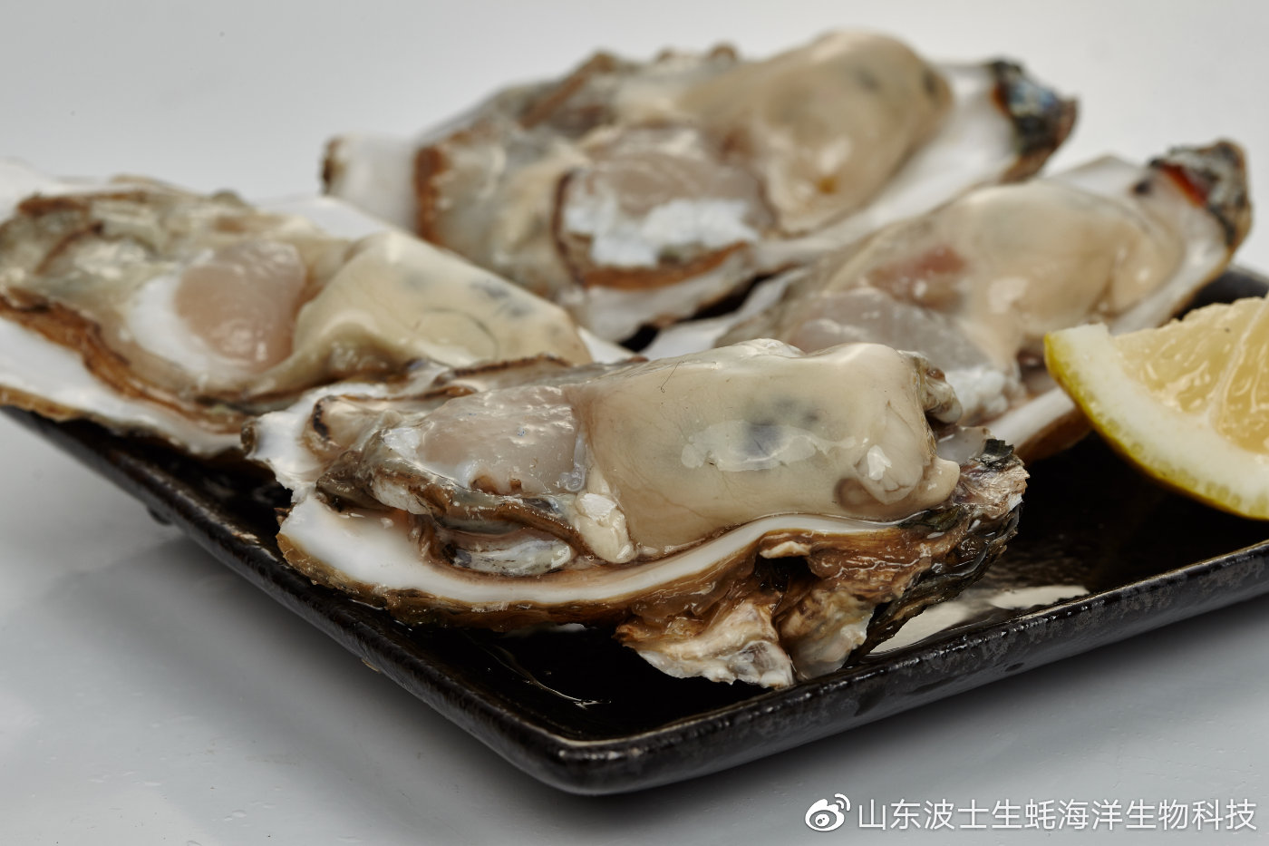 生吃生蚝怎么预防寄生虫,生蚝里的寄生虫吃什么药