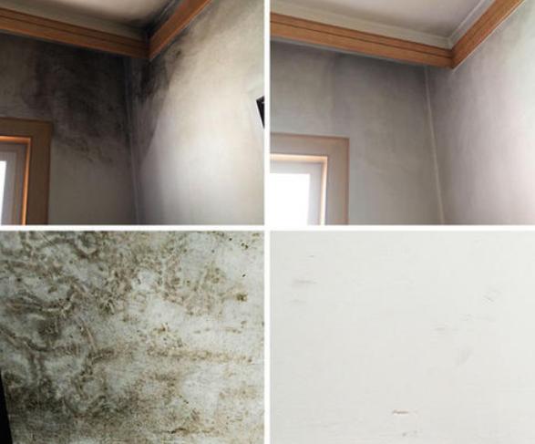 南方潮湿天气怎么防霉菌,下雨潮湿产生的霉菌有害处吗