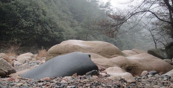 合肥市网红游玩区,合肥网红景点推荐