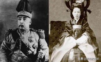 袁世凯情史简介,袁世凯的情史简介