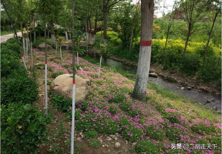 五眼泉地名由来,五眼泉真实情况