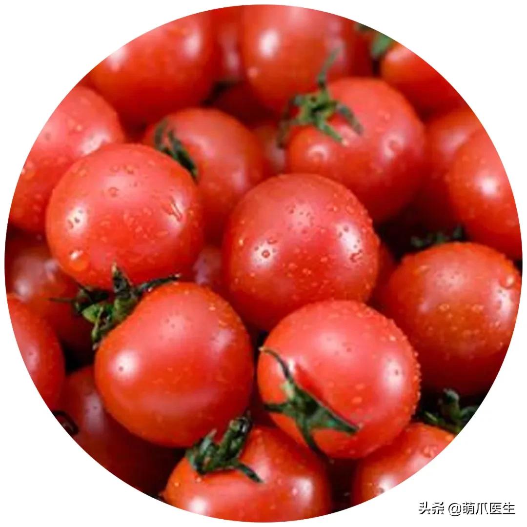 家有萌猫，千万别养这些花草！！