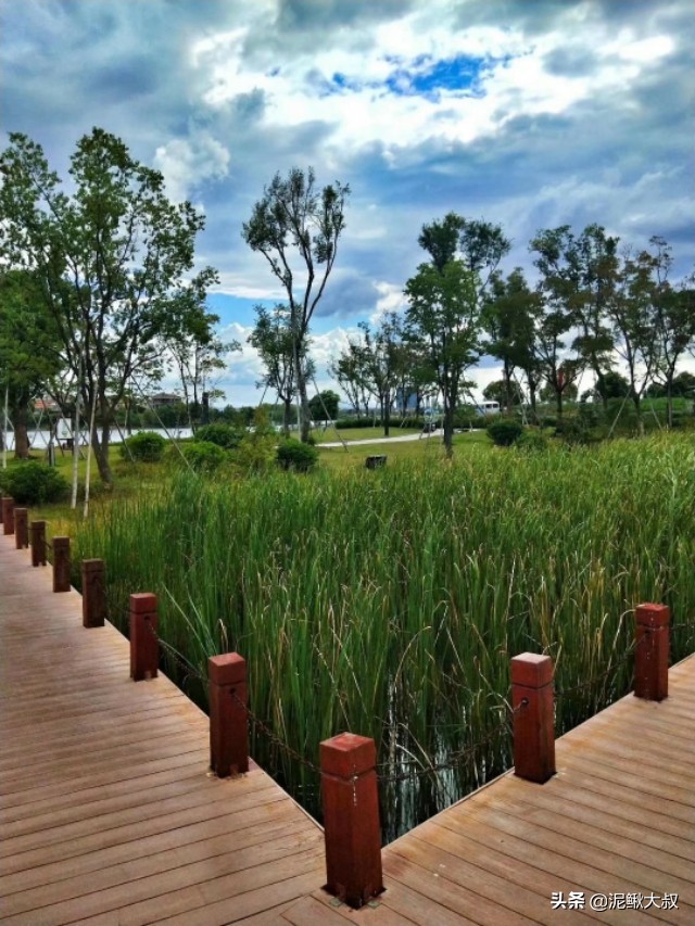 金义都市新区招聘,金义都市新区未来5年规划