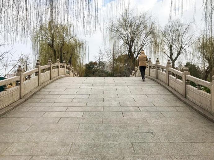 济南天下第一泉风景区开放首日,带你们“云逛”趵突泉、五龙潭……