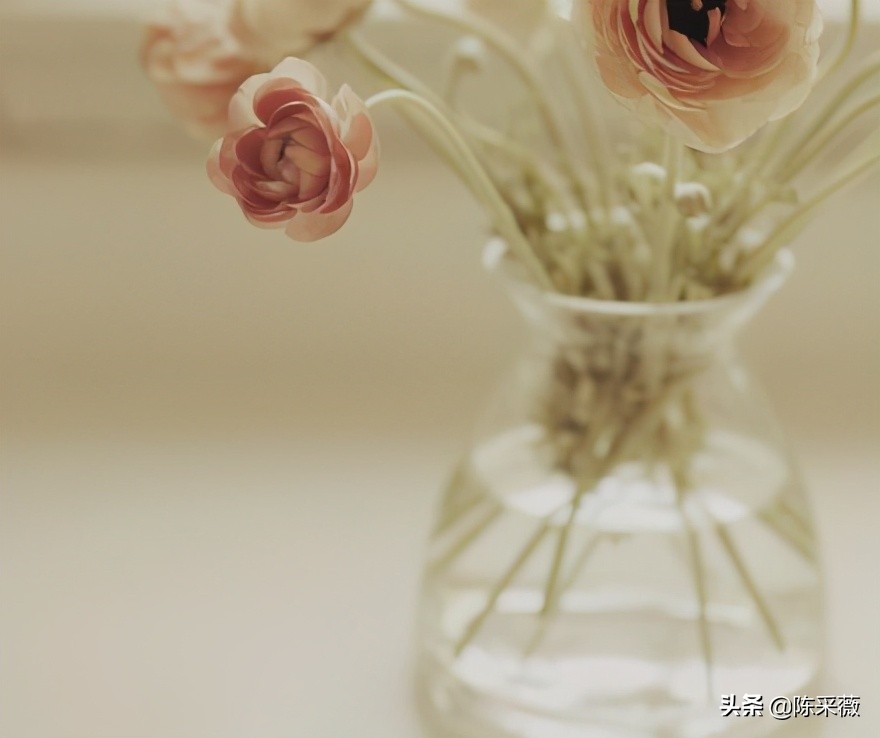 分别后不知君远近,别后不知君远近相逢犹恐是梦中