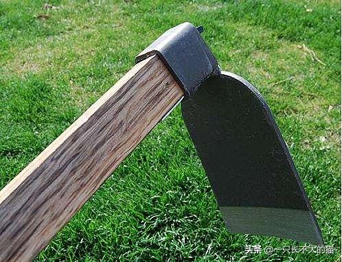 斗罗大陆的职业有哪些,斗罗大陆现实生活中的武魂