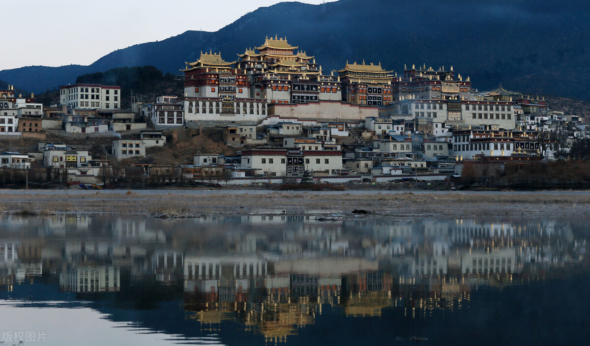 看完司藤后看哪部电视剧,看完司藤还爱看什么