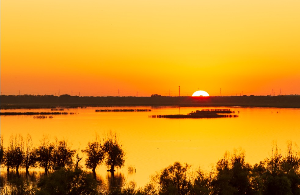 衡水湖有多美丽,七月衡水湖