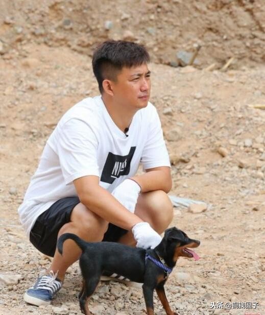 娱乐圈那些感人的事,明星与宠物的感人瞬间