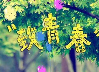 一场青春的流年,醉一场流年的青春