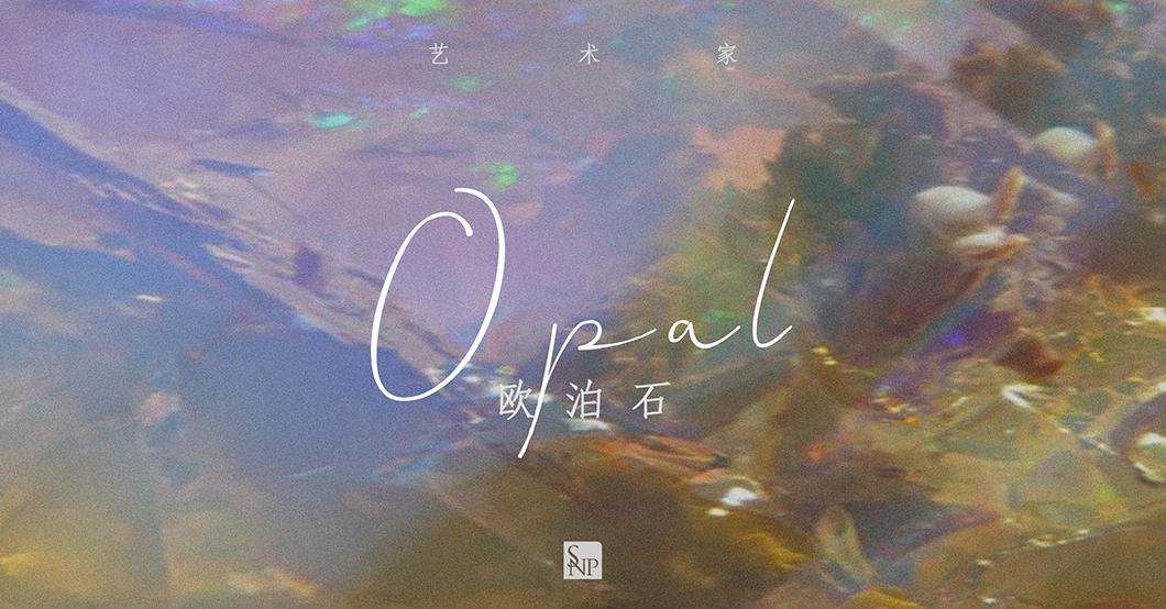 2020年/SNP年度别墅设计：绝色原石