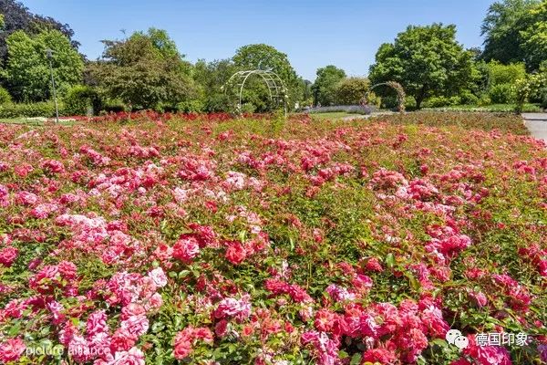 德国埃森属于哪个城市,德国埃森在德国的什么位置