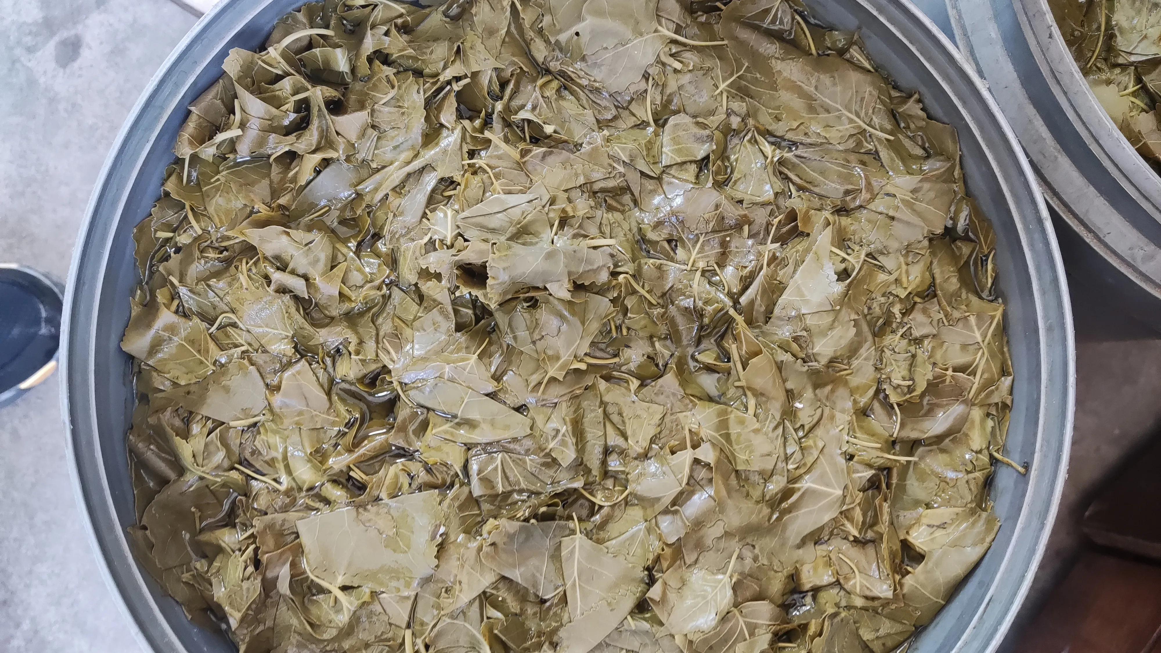 杨树叶子拌什么好吃,杨树叶可以直接凉拌吃吗