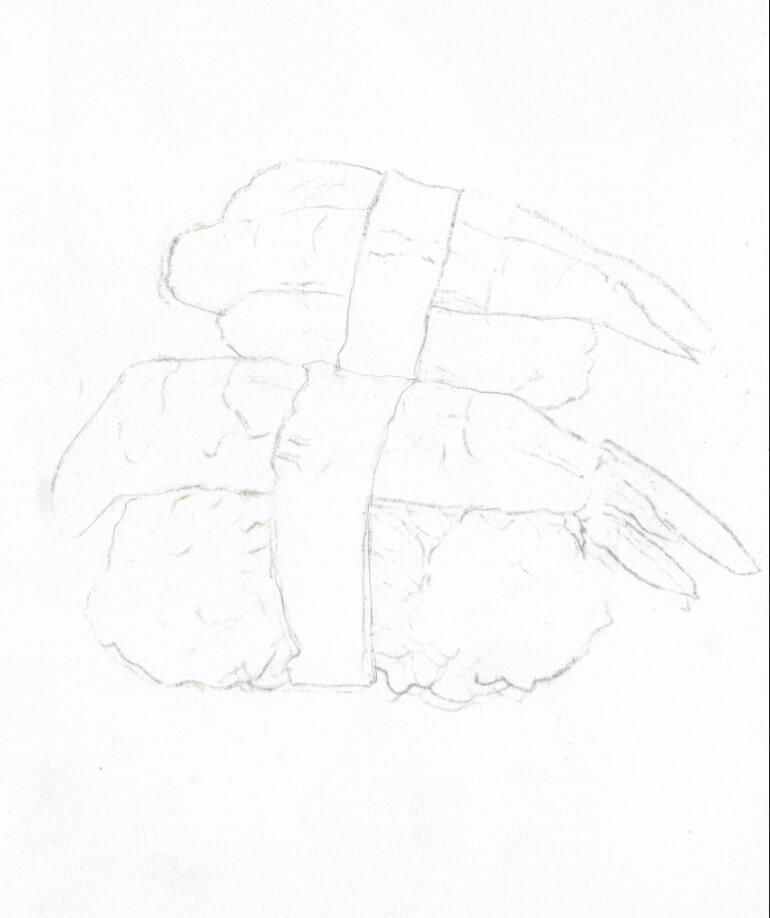 水彩虾尾的画法,水彩寿司便当教程