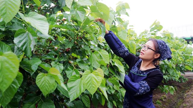 中国最低调小城市,中国最低调小镇