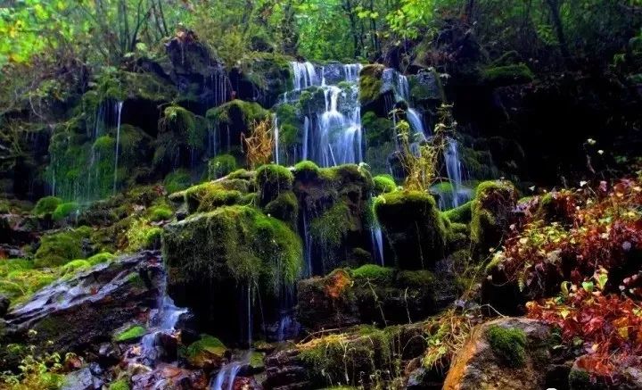 一泡而红!四川这座小城已火向全球,今天万人齐聚!