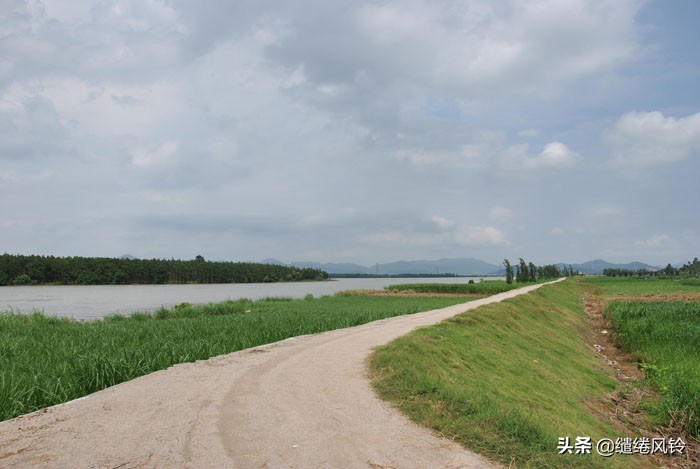 珠海竹洲水松林,意外发现的珠中江“SB”界碑,究竟作何解释?