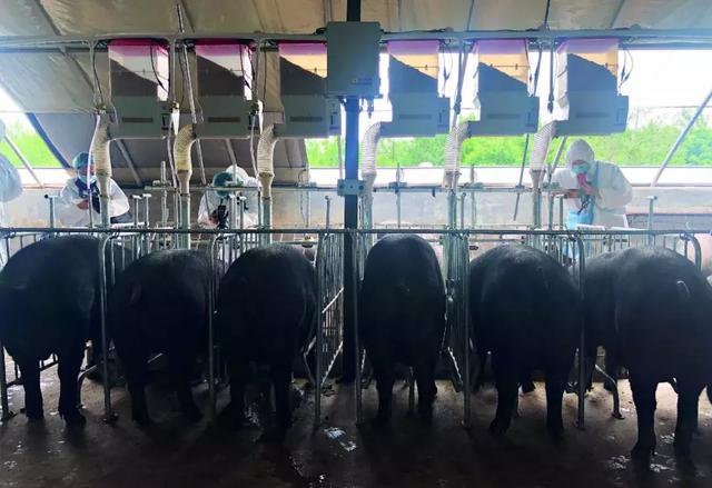 最好的万字长文,万字长文干货