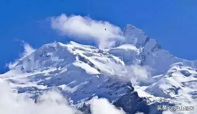 *疆新**克州,向全世界发出邀请!即将涌来大批人马