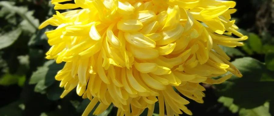 最简单的风花雪月春夏秋冬的古诗,关于风花雪月的古诗大全100首