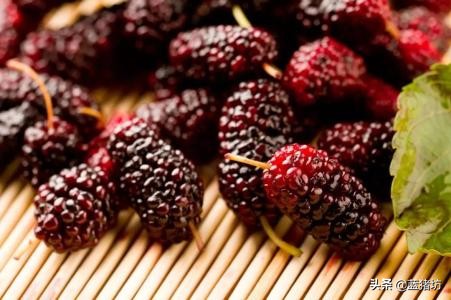 六个月宝宝除了米粉可以吃什么,6个月宝宝除了米粉还需要吃什么