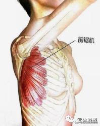 沉肩的时候肩胛骨下角翘起怎么办,肩胛骨翘起真的可以改善吗