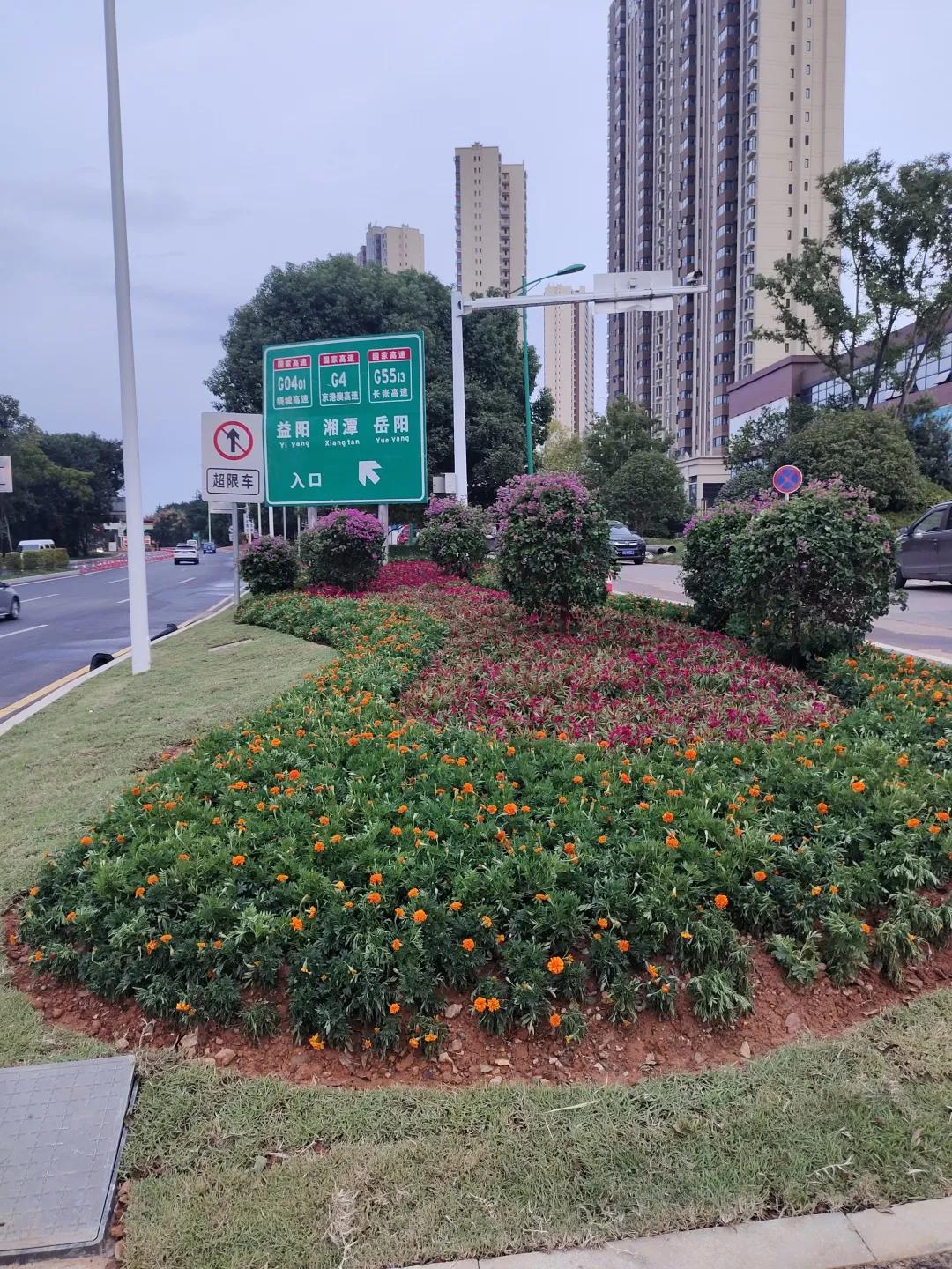 望城“百日攻坚”，城投项目在提速！