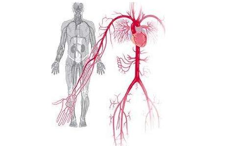 得了腰椎间盘突出原来可以这么治,腰椎间盘突出不要忽略的治疗方法