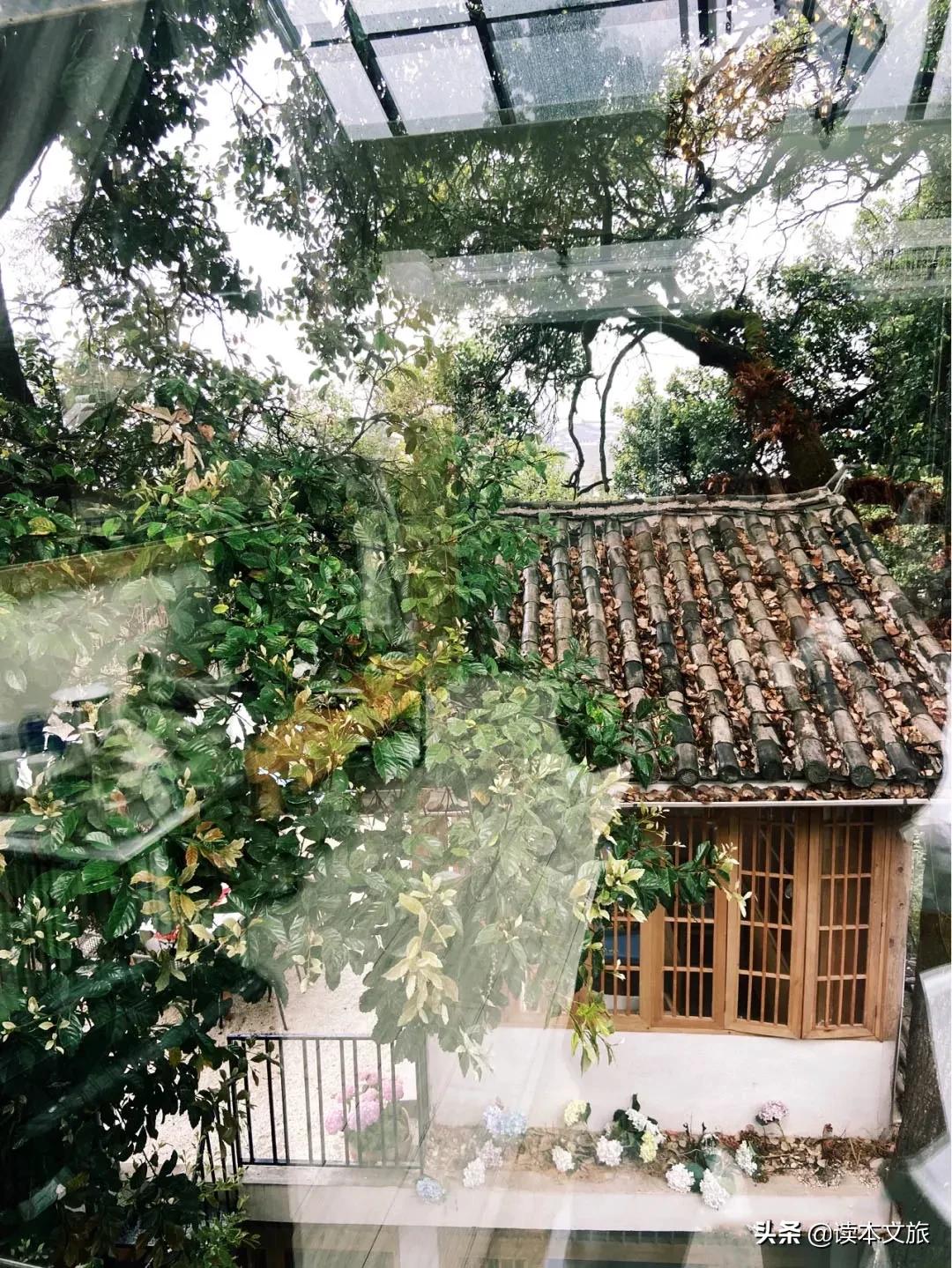 丽江10家民宿推荐,丽江十大民宿酒店推荐图片