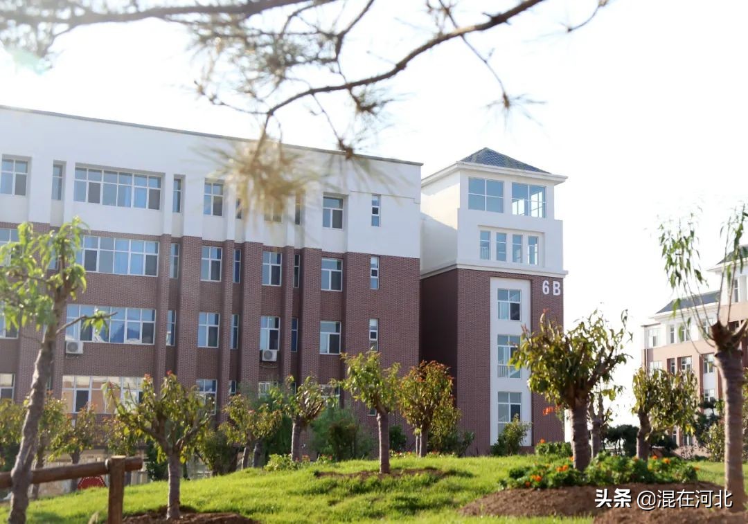 衡水学谷小镇最新进展,衡水市桃城中学办学规模