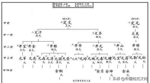 家谱正确编写方法视频,家谱怎么编写简单又好看现代
