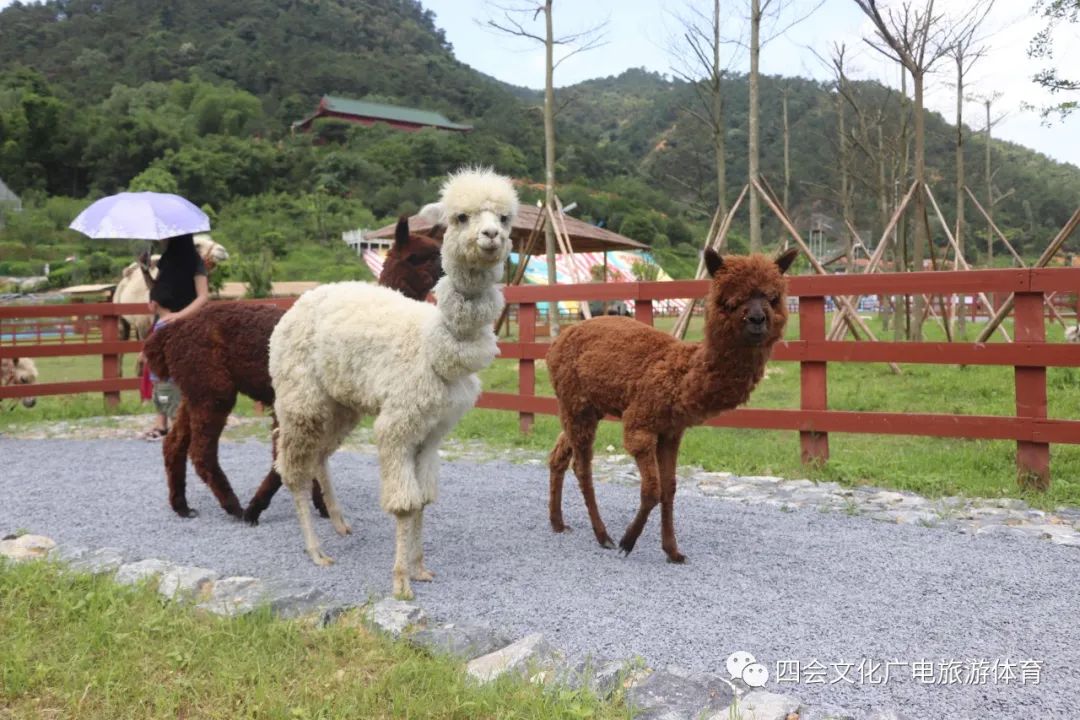 肇庆彩虹滑道在哪里,肇庆五天旅游攻略路线推荐
