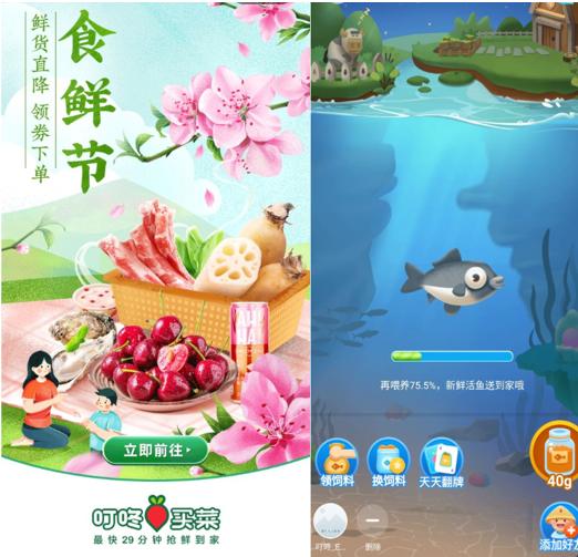 美团优选和多多买菜哪个速度更快,多多买菜跟美团优选哪个平台好些