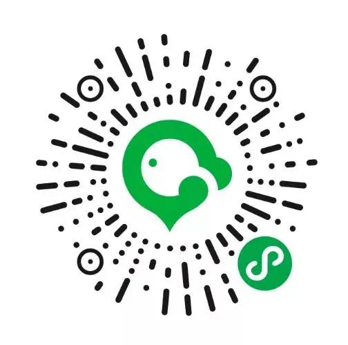 荷兰深度游旅游团,荷兰深度游攻略