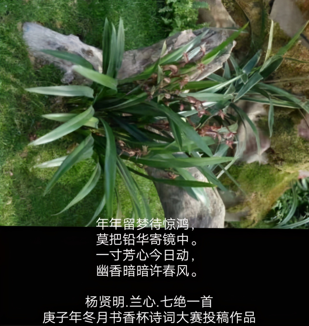 2022年全国诗词竞赛征稿,2021中华当代杯全国诗词大赛