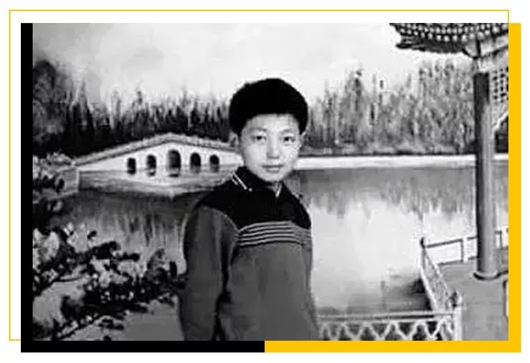 村花撒贝宁:我,43岁,*戏调**马云,芳心纵火犯