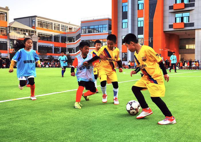 五育并举培养全面发展的人,五育互育高效促进学生全面发展