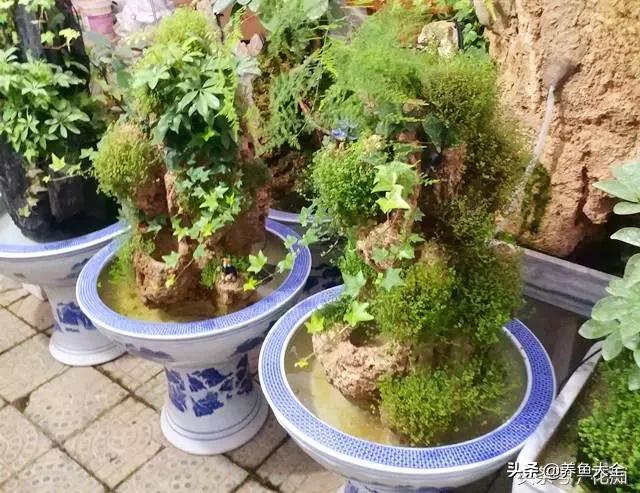 上水石盆景制作方法是什么,上水石盆景制作视频教程完整版