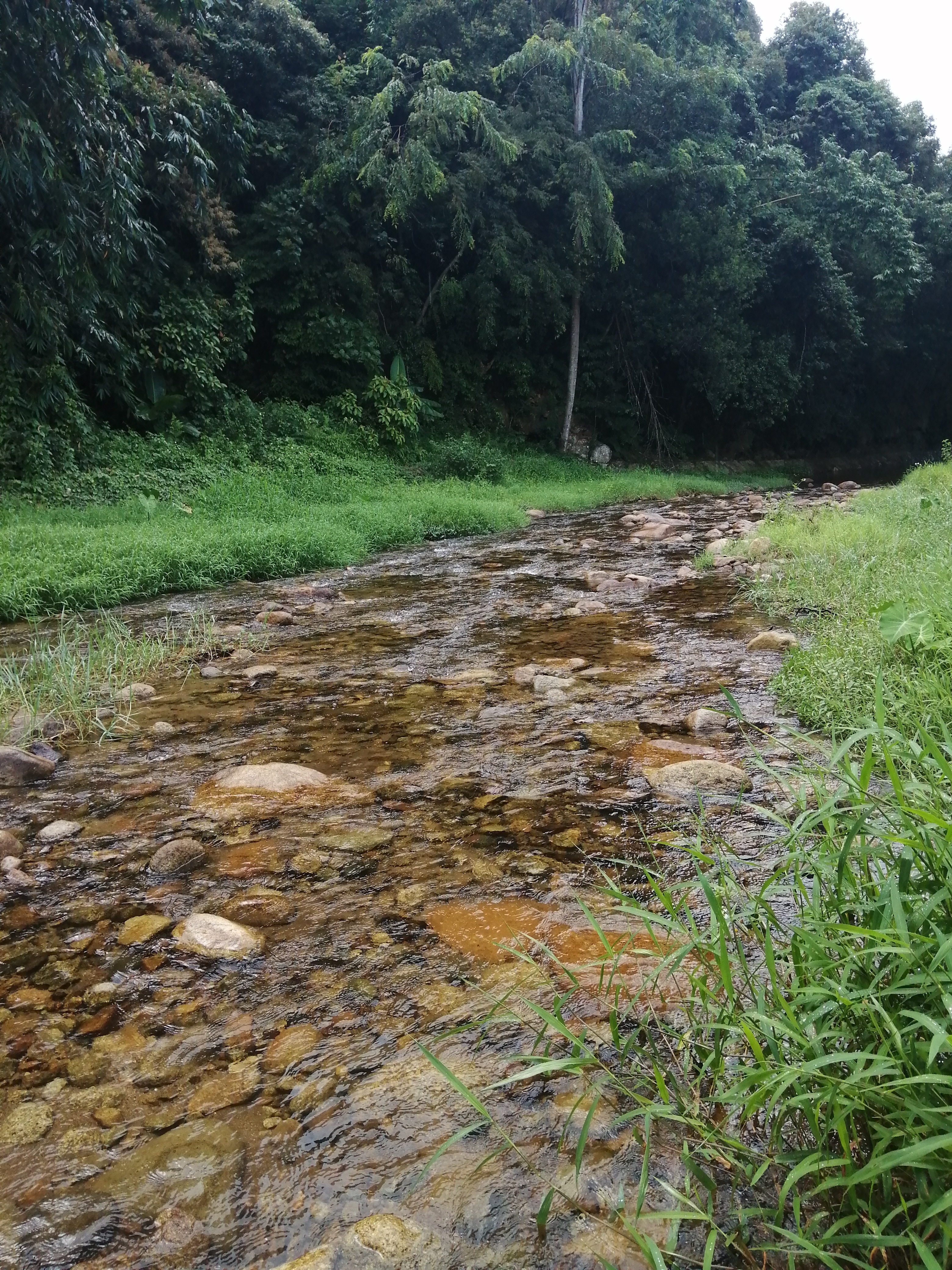 周边旅游景点推荐自驾游罗浮山,罗浮山风景区一日游攻略
