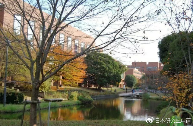 日本筑波大学相当于国内什么大学,筑波大学申请条件博士