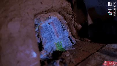 娶妻当娶李子柒小说作品列表,娶妻当娶李子柒前一句是啥