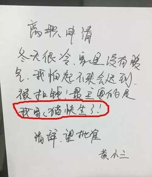 最奇葩的辞职信表情包,史上最奇葩的辞职信